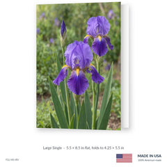 Purple Iris Funeral Service Folders