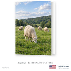 Sheep Meadow Funeral Service Folders