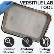 Stainless Steel Dissecting Tray with Wax – Model 1035 - 15BWB - American Mortuary Coolers & Equipments