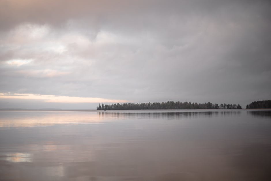 Aqua Cremation Explained: A Water-Based Alternative - American Mortuary Coolers & Equipments