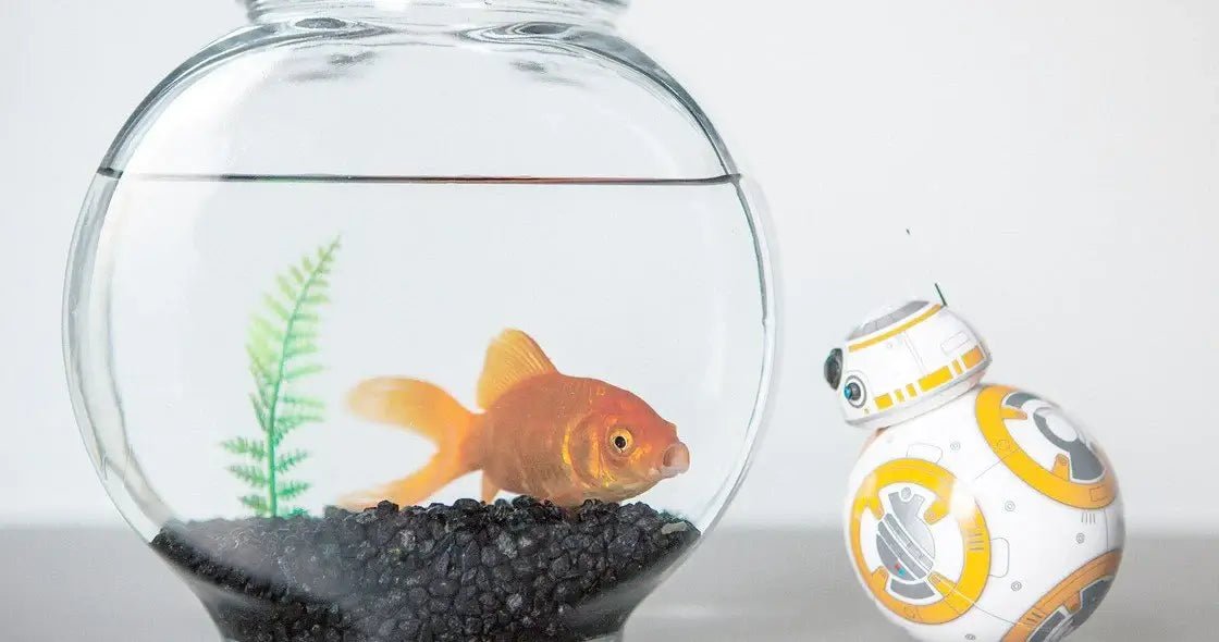 Coffe Time in Office - American Mortuary Coolers & Equipments