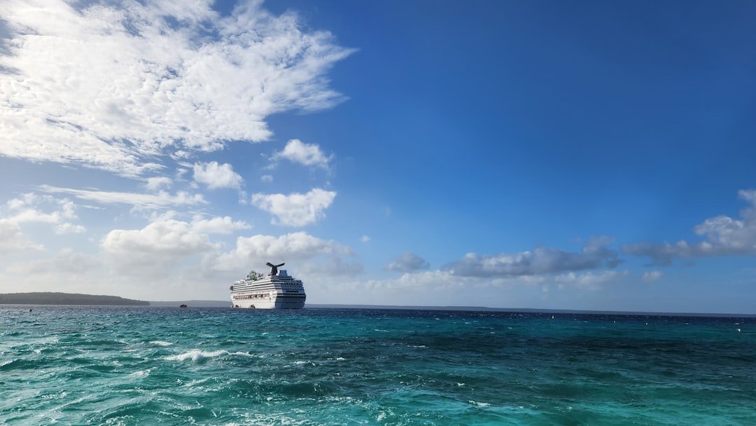 Everything You Need to Know About Deaths on Carnival Cruise Ships - American Mortuary Coolers & Equipments