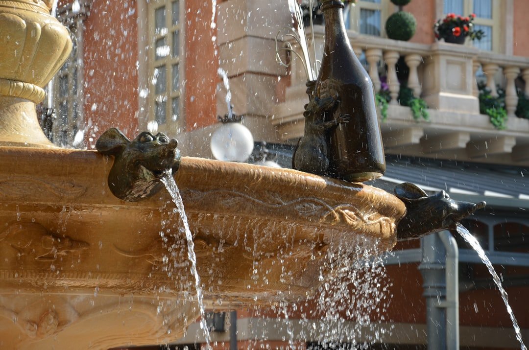 How to Fix Drinking Fountain Fast by Using Simple Repair Tips - American Mortuary Coolers & Equipments