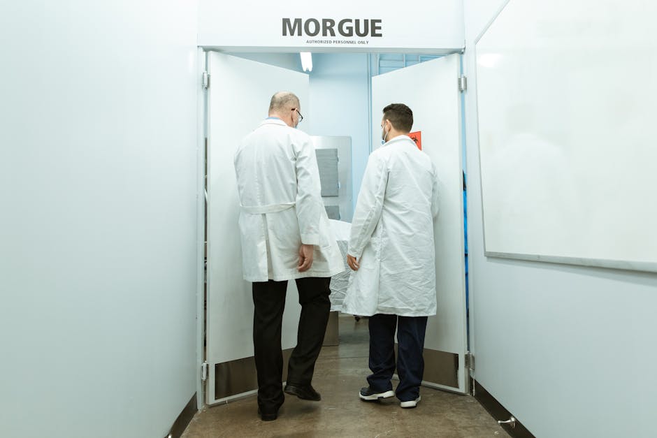 Keeping It Cool: A Roundup of the Best Morgue Coolers - American Mortuary Coolers & Equipments