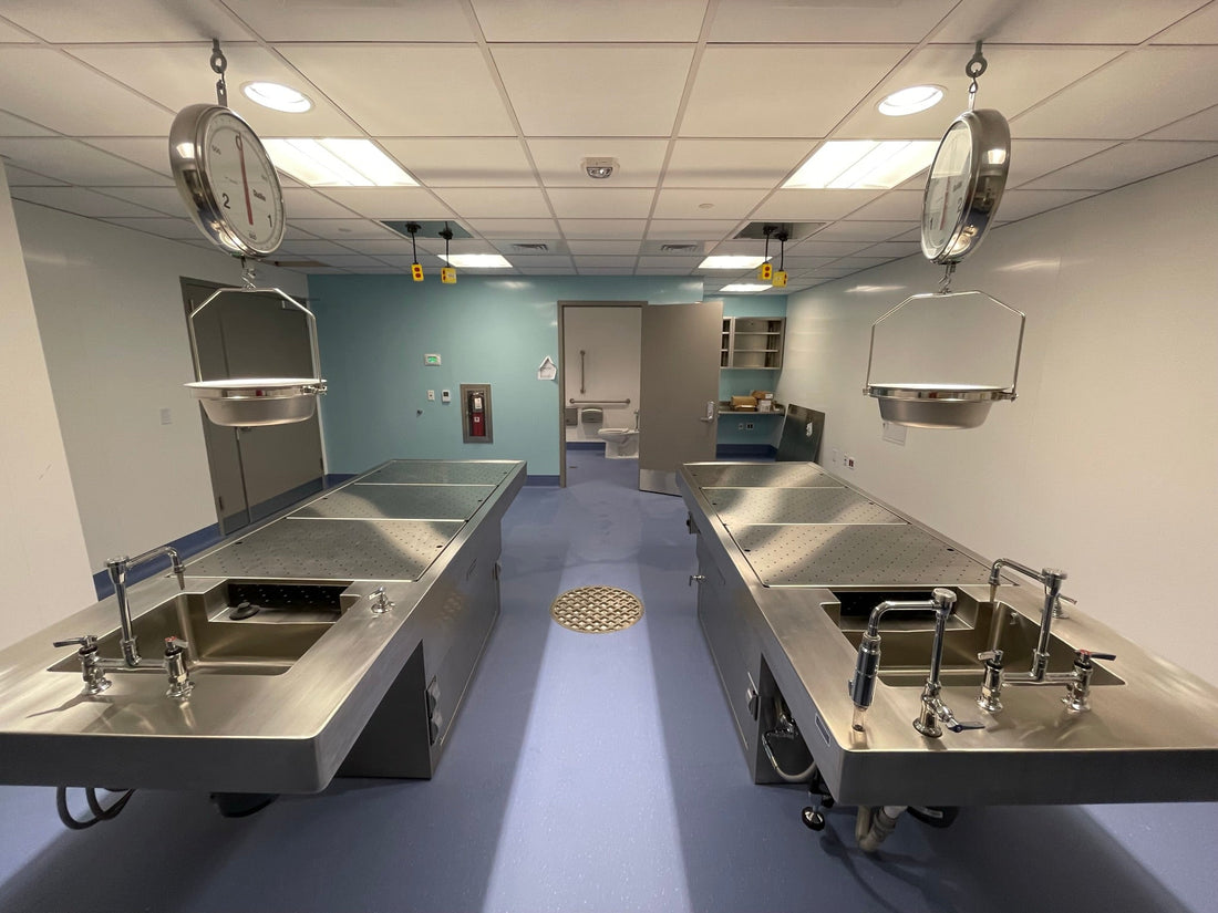 Morgue Tables: Expert Guide from MorgueTable.com for Funeral Homes and Medical Facilities - American Mortuary Coolers & Equipments