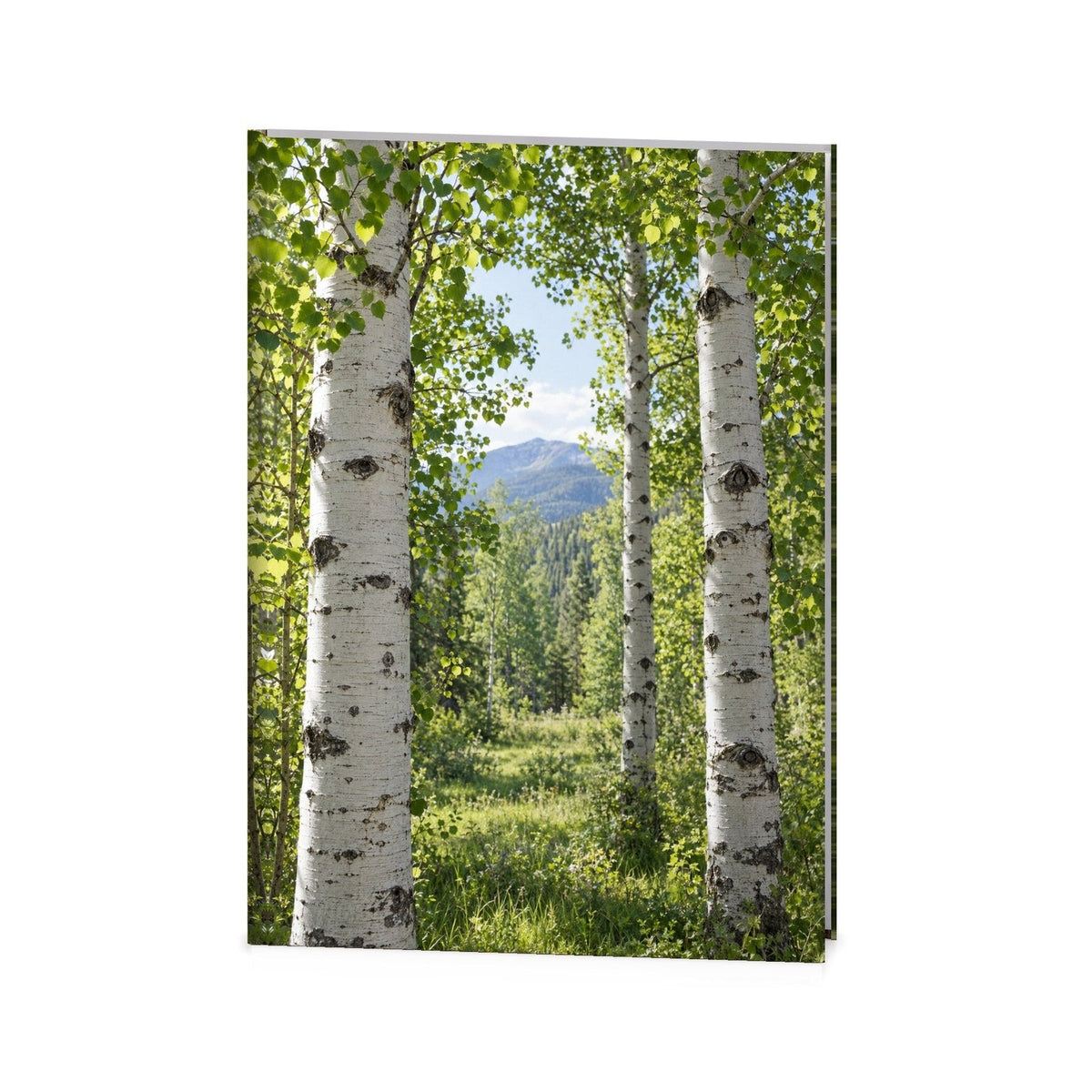 Aspen Grove Funeral Register Book
