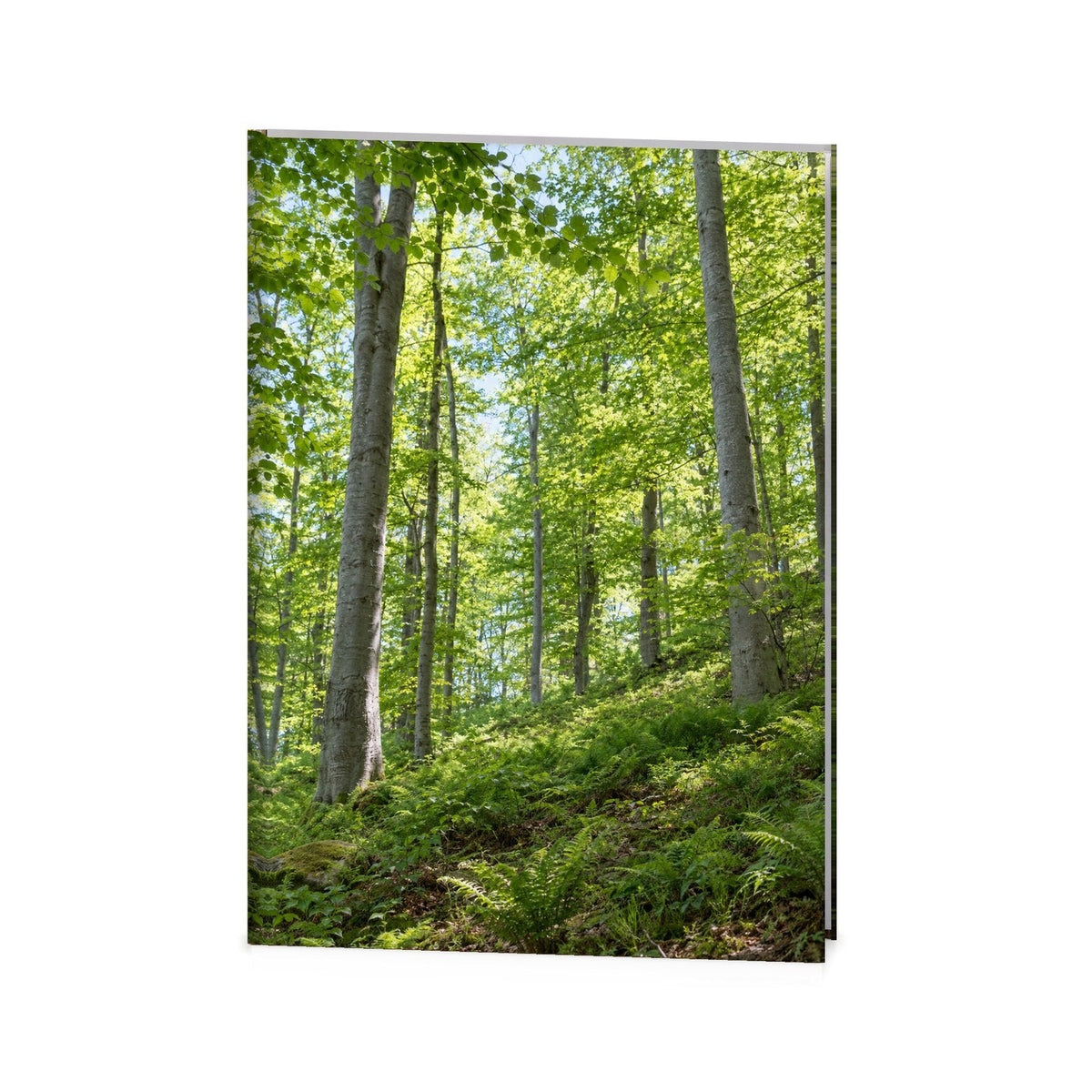 Beech Grove Funeral Register Book