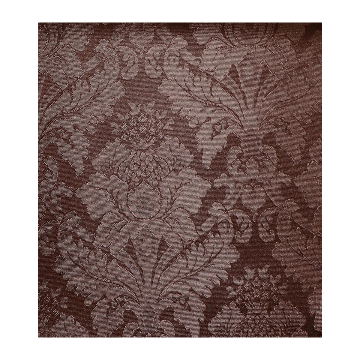 Carlisle Cocoa Infant Removal Case – Standard – Carlisle Cocoa