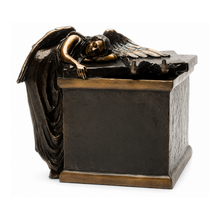 Guardian Angel Companion Bronze Companion Urn — DBR-008