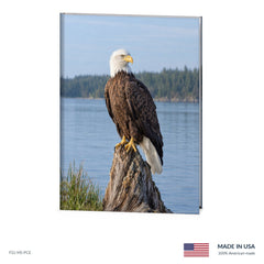 Perched Eagle Funeral Register Book