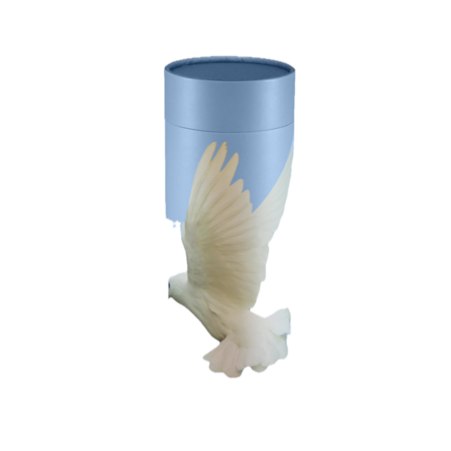 Ascending Dove Scattering Tube — SCT-001