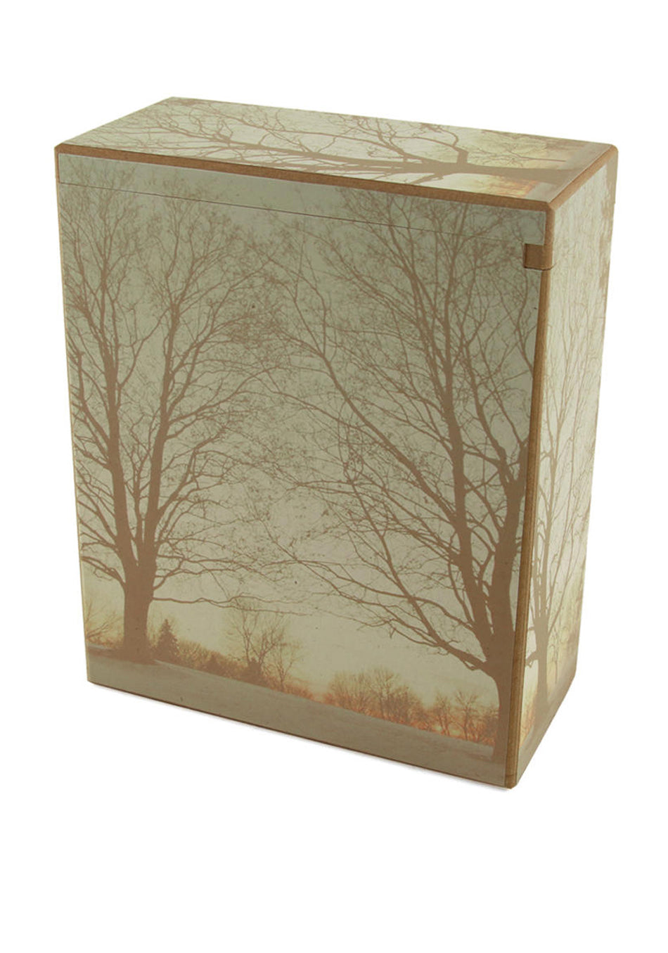 Simple Fiberboard Scattering Urn
