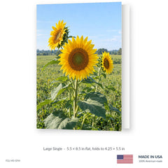 Summer Sunflowers Funeral Service Folders