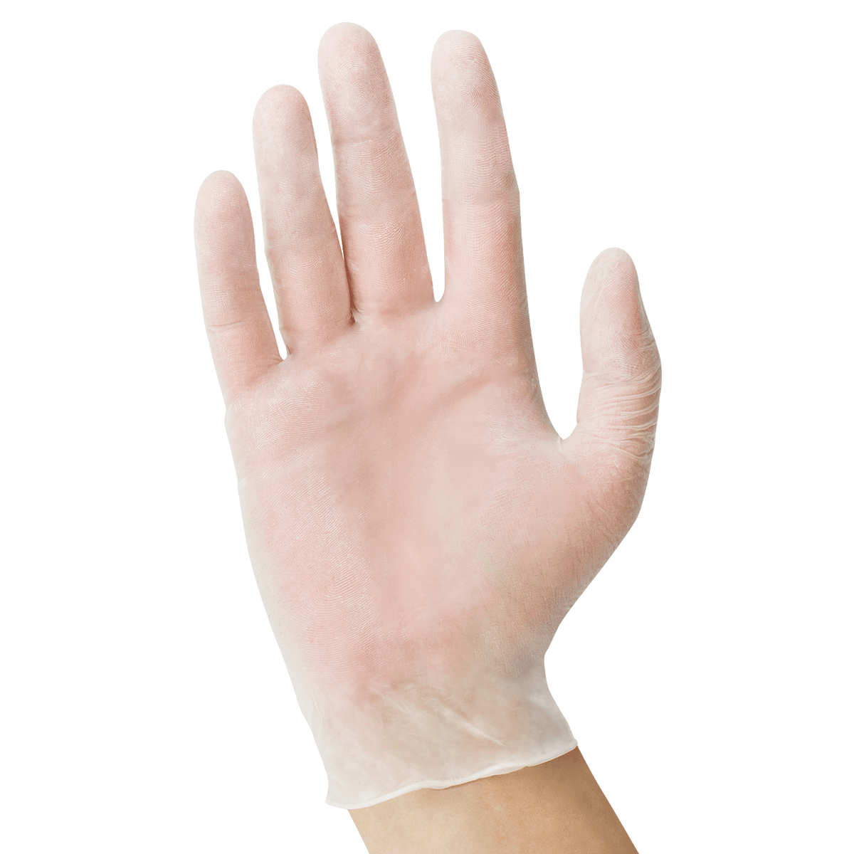 USPE clear vinyl exam glove, 9.5-inch length, powder-free