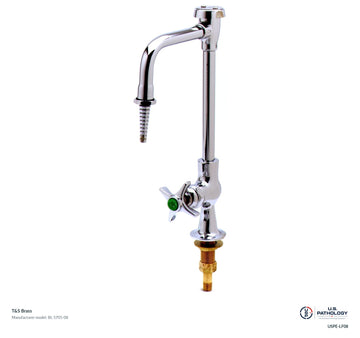 T&S Brass BL-5705-08 Laboratory Faucet | Fixture Only | USPE-LF08