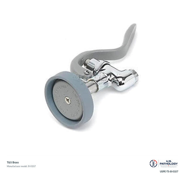 T&S Brass B-0107 Pre-rinse spray valve